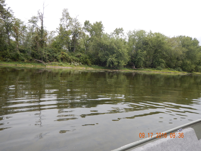 DSCN1691.jpg - Even with low water, this place is beautiful.                               