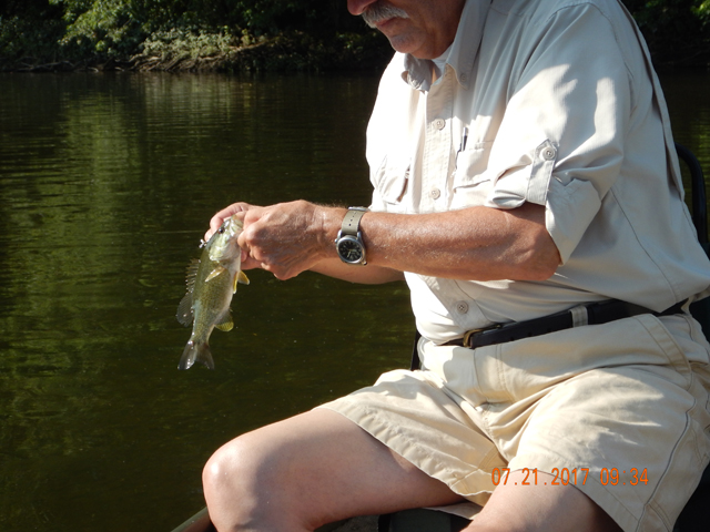 DSCN2225.jpg - Little close up of the same fish.                               