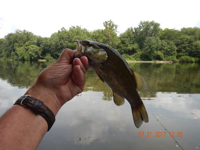 DSCN2232.jpg -                           Caught this one while we stopped for lunch.     