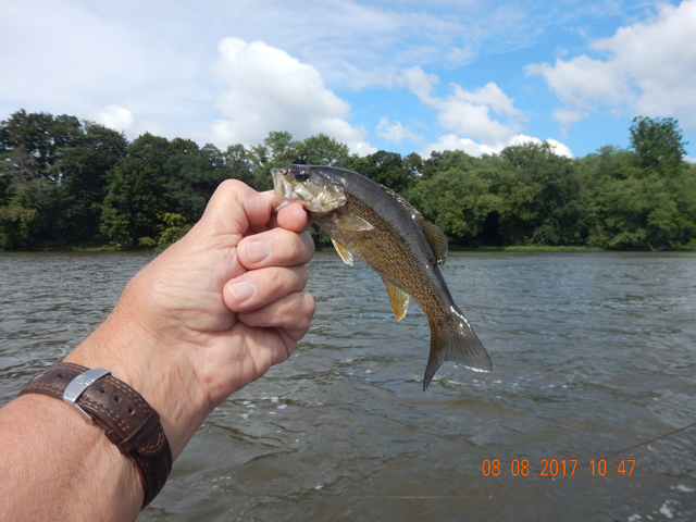 DSCN2286.jpg -                   I struck first! Didn't know how this day would go with the high water and all.             