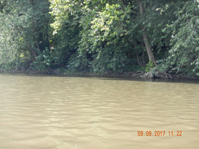 DSCN2296.jpg -                                