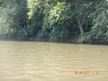 DSCN2296
