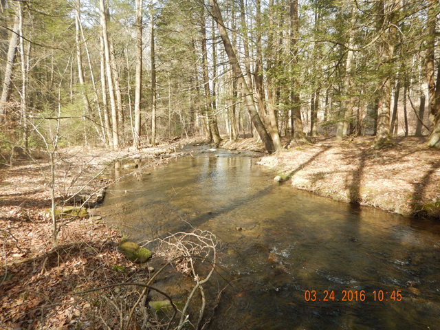 DSCN0879.jpg -                                Looking downstream from the same spot, and a cast to the far bank.