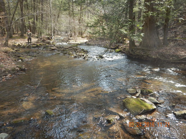 DSCN0888.jpg -                                A feeder stream entering from the right gave the main stream a bit more volume and made a nice hole.