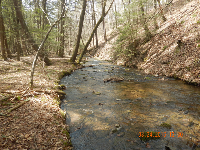 DSCN0899.jpg -                                Talked to one of the locals who said the stream a good bit of water through the entire year.