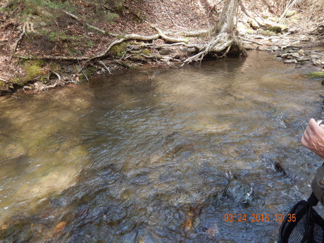 DSCN0902.jpg -                                Standing up and casting a shadow on the water could destroy the hole for a while.