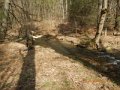 DSCN0893