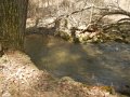 DSCN0895