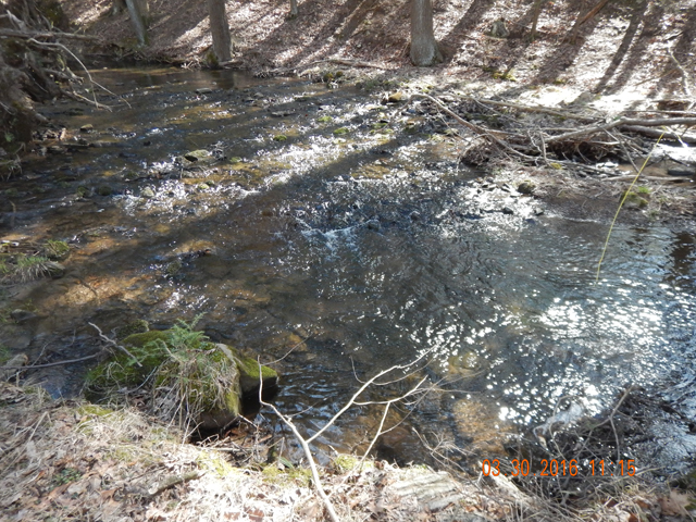 DSCN0962.jpg -                                Stream did have some nice holding pools.