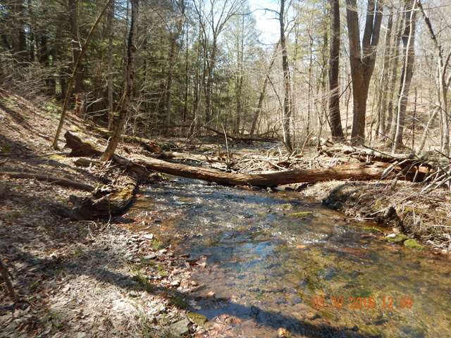 DSCN0971.jpg -                                