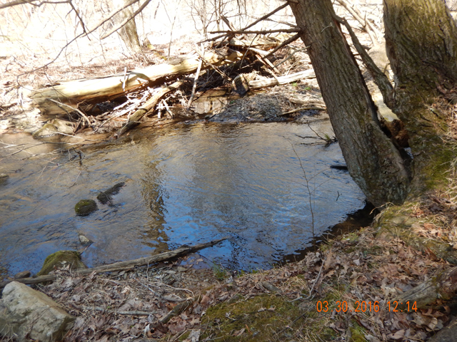 DSCN0974.jpg -                                This hole even looks fishy.