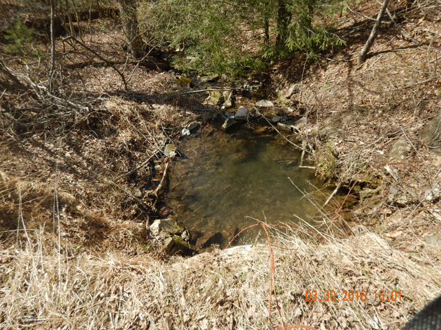 DSCN0986.jpg - On the way back to the car, Ed dabbled a dry in a pool below a drain tile.  He pulled the following two fish from this spot.                               