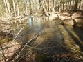 DSCN0958