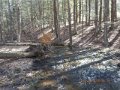DSCN0963