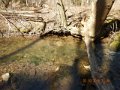 DSCN0969
