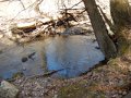 DSCN0974