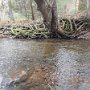 KettleCreek202519