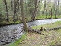 DSC00725