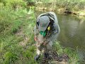 DSC00726