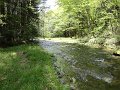 DSC00734