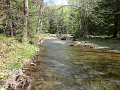 DSC00737
