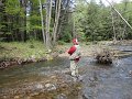 DSC00741