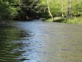 DSC00753