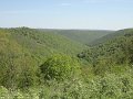 DSC00756