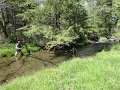 DSC00778