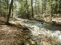 DSCN3024
