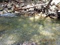 DSCN3027