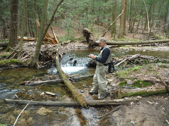 DSCF9221.jpg - No wonder, he came from this pool.  Pretty fish from a pretty location...it all fits. Yeah, that's me preparing for another attempt.