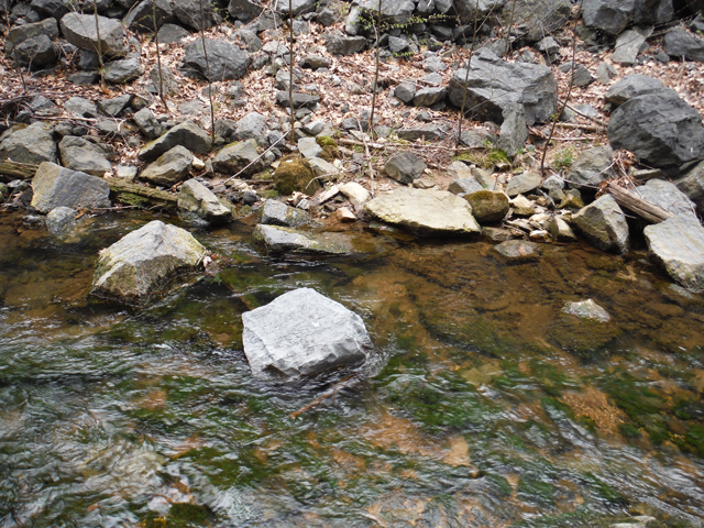 DSCF9228.jpg - Here's where Ed got this fish, just behind the rock next to the edge of the stream.