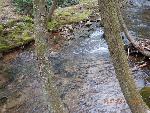 DSCN1143.jpg -                                These deeper pools just can't be passed up either.