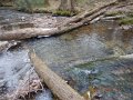 DSCN1140