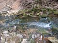 DSCN1147