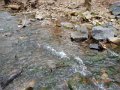 DSCN1159