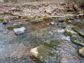 DSCN1161
