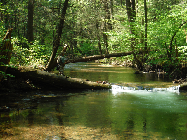 DSCF9613.jpg - Yeah, that's me fishing a really nice piece of the stream.  Only got one or two from this location.