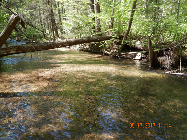 DSCN2048.jpg -                 Scenery plays a large part of the wild trout lure.               