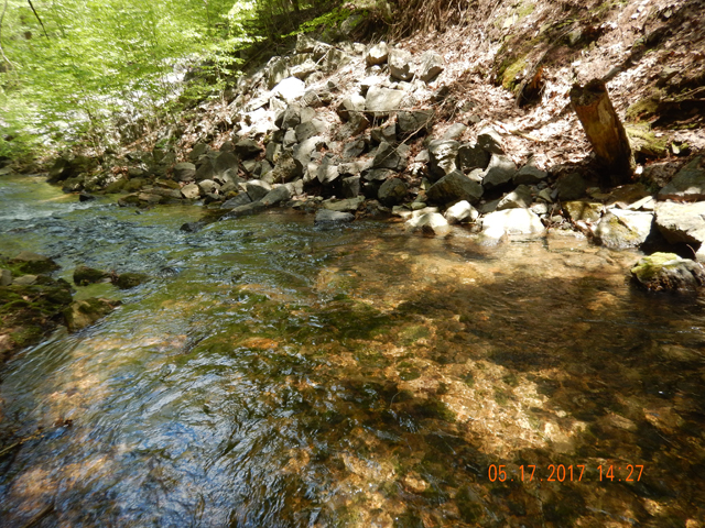 DSCN2062.jpg -                                And it came from the far side of the stream at this run.