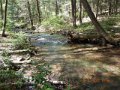 DSCN2046