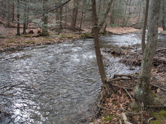 DSCF9570.jpg - The water level was perfect.  Little cool but hey, it's still February.