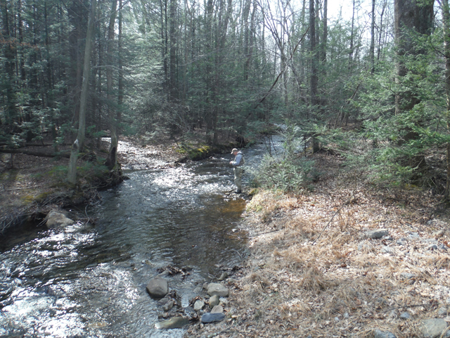 DSCF9575.jpg - This was the end of the day and I just had to try an attractive run.