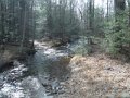 DSCF9575