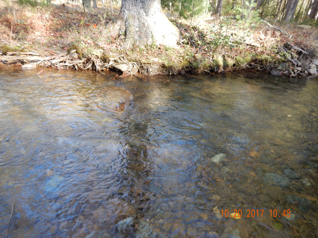 DSCN2729.jpg -                                The fish did hit dry flies but there were no bugs on the water and few bugs in the air.  That last little guy lived in this run.