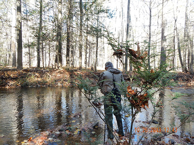 DSCN0185.jpg -                                Ed fishing Laurel Run