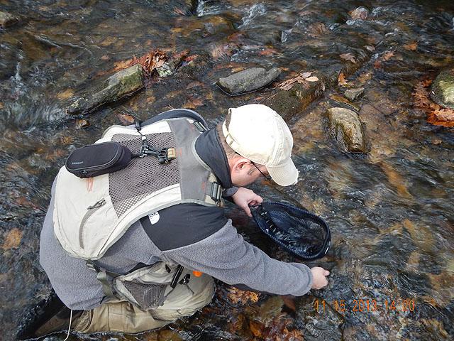 DSCN0238.jpg -                                Letting the little one go.