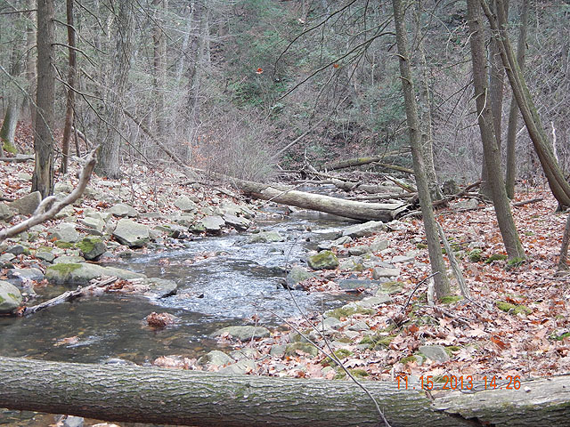 DSCN0239.jpg -                                Just a shot of the stream.  It seemed like the next run was more inviting than the last.