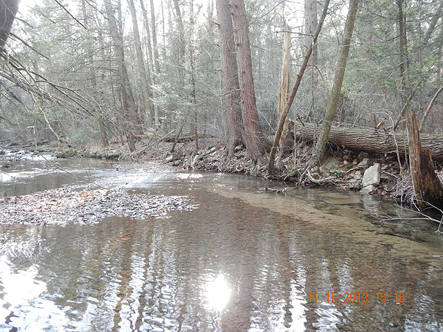 DSCN0242.jpg -                                One of my favorite runs. Why?  Cause it produces.